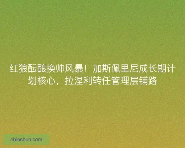 红狼酝酿换帅风暴！加斯佩里尼成长期计划核心，拉涅利转任管理层铺路