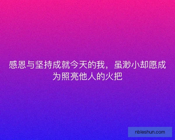 感恩与坚持成就今天的我，虽渺小却愿成为照亮他人的火把